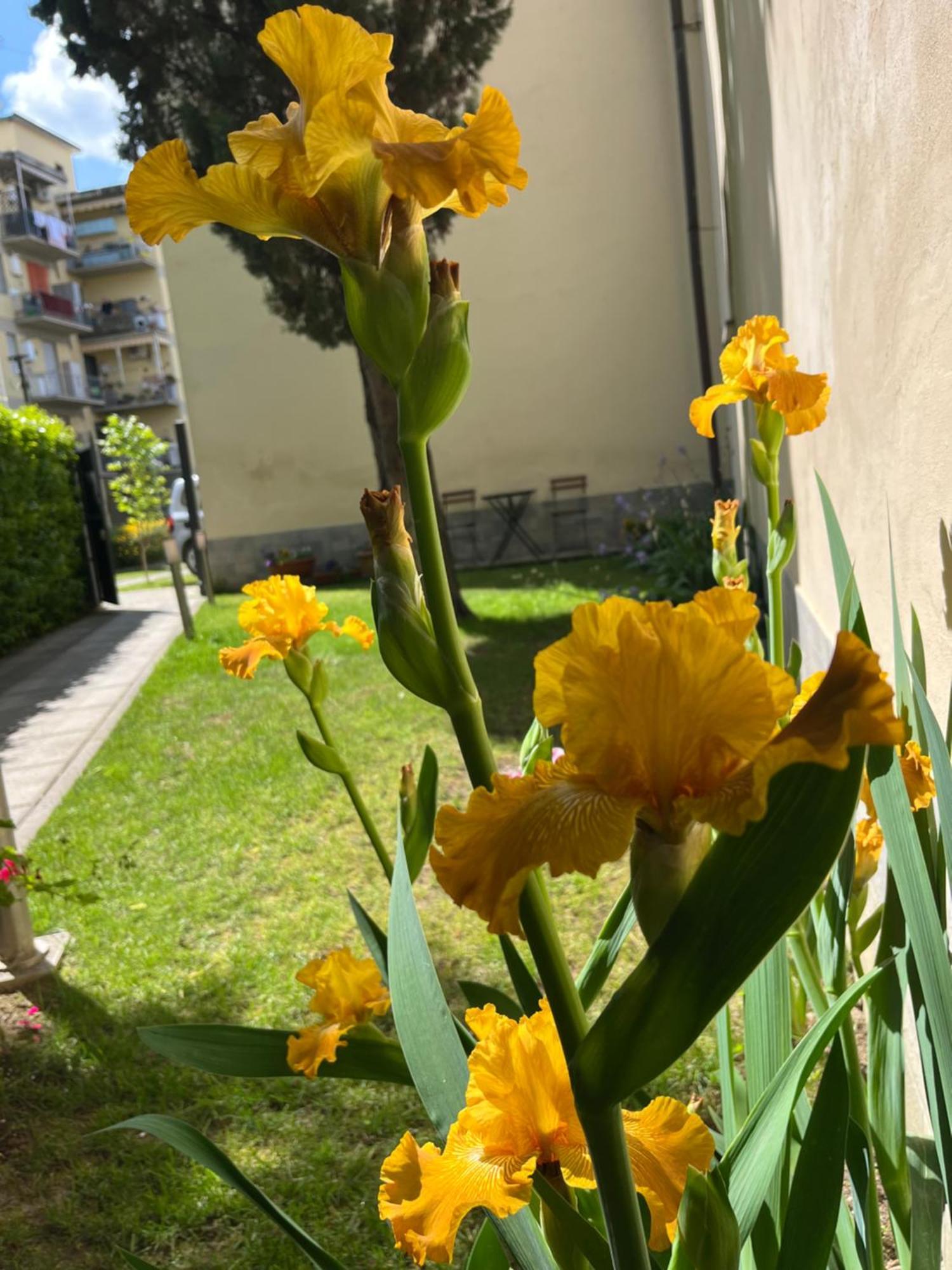 Dalu Florence Apartment Lucilla - Private Car Park 15 Minutes To The City Center Zewnętrze zdjęcie